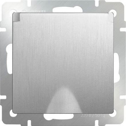 Розетка с з/к с крышкой и шторками Werkel W1171209 серебро рифленый (WL09-SKGSC-01-IP44)