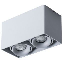 Потолочный светильник Arte Lamp A5654PL-2GY