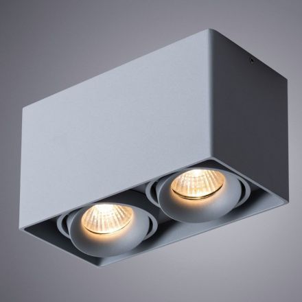 Потолочный светильник Arte Lamp A5654PL-2GY