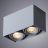 Потолочный светильник Arte Lamp A5654PL-2GY