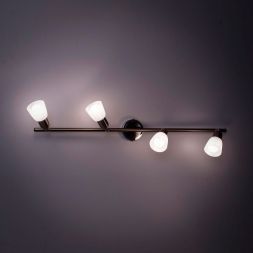 Спот Citilux CL506541