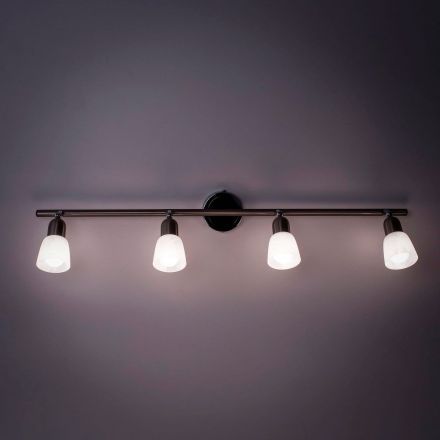 Спот Citilux CL506541