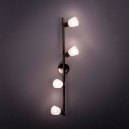 Спот Citilux CL506541