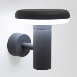 Уличный светильник Citilux CLU01W