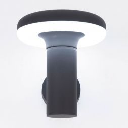 Уличный светильник Citilux CLU01W