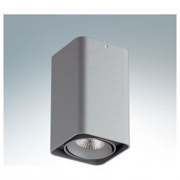 Точечный светильник Lightstar 052139