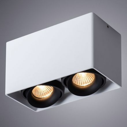 Потолочный светильник Arte Lamp A5654PL-2WH