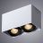 Потолочный светильник Arte Lamp A5654PL-2WH