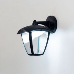 Уличный светильник Citilux CLU04W2