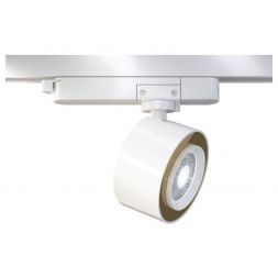 Трековый светодиодный светильник Maytoni TR023-1-12W3K