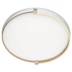 Настенно-потолочный светодиодный светильник Сонекс Pale Olidi White 7646/DL