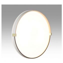 Настенно-потолочный светодиодный светильник Сонекс Pale Olidi White 7646/DL