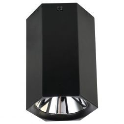 Потолочный светодиодный светильник Favourite 2396-1U