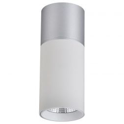Потолочный светодиодный светильник Favourite Deepak 3071-1C