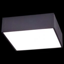 Светодиодный светильник Citilux CL712X122N