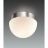 Потолочный светильник Odeon Light 2443/1A
