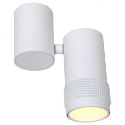 Спот Favourite 2453-1U