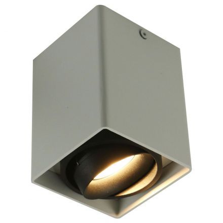 Светильник потолочный Arte Lamp A5655PL-1WH