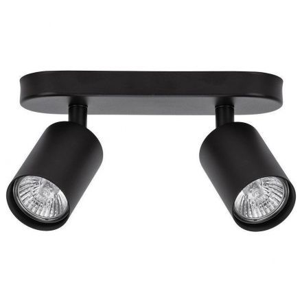 Спот потолочный Arte Lamp A3226PL-2BK AQUARIUS