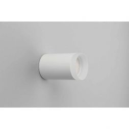 Потолочный светильник Omnilux OML-100709-01