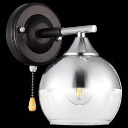 Светильник настенный Evoluce SLE106501-01 GOCIA
