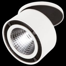 Светодиодный спот Lightstar 213806