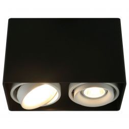 Светильник потолочный Arte Lamp A5655PL-2BK