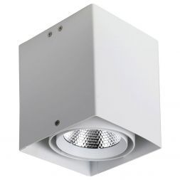 Потолочный светильник Favourite 1986-1U Flashled