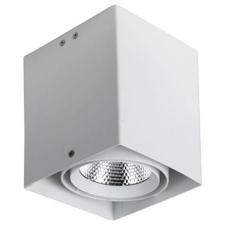 Потолочный светильник Favourite 1986-1U Flashled