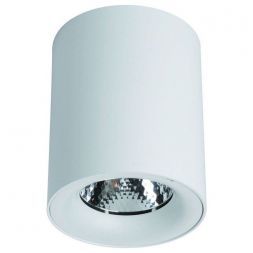 Потолочный светильник Arte Lamp A5112PL-1WH