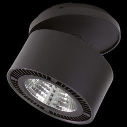 Светодиодный спот Lightstar 213807