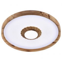 Светодиодный светильник Profit Light 2090/450 WH+WD RGB