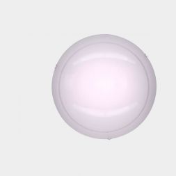 Светильник настенно-потолочный Citilux CL918081