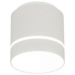 Потолочный светодиодный светильник Citilux CL745020N Борн