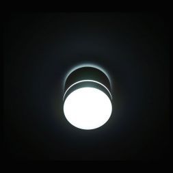Потолочный светодиодный светильник Citilux CL745020N Борн