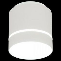 Потолочный светодиодный светильник Citilux CL745020N Борн