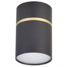 Потолочный светодиодный светильник Favourite Dunia 3068-1C