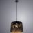 Подвесной светильник Arte Lamp Celesta A2700SP-1BK