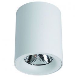 Потолочный светильник Arte Lamp A5118PL-1WH