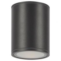 Уличный светодиодный светильник Maytoni O306CL-L12GF