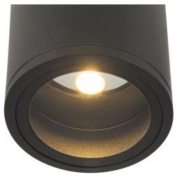 Уличный светодиодный светильник Maytoni O306CL-L12GF