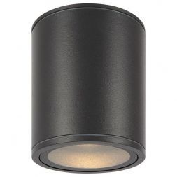 Уличный светодиодный светильник Maytoni O306CL-L12GF
