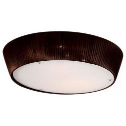 Светильник Citilux CL913142