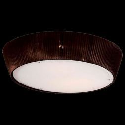 Светильник Citilux CL913142