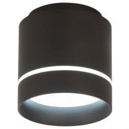 Потолочный светодиодный светильник Citilux CL745021N Борн