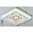 Потолочный светодиодный светильник F-Promo Ledolution 2284-5C