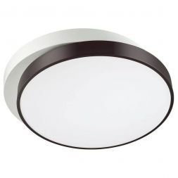 Потолочный светодиодный светильник Lumion 4509/72CL