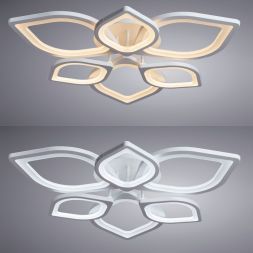 Потолочный светодиодный светильник Arte Lamp A2531PL-6WH