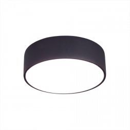 Накладной светодиодный светильник Citilux CL712122N