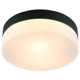 Потолочный светильник Arte Lamp A6047PL-2BK Aqua-Tablet (ARTE A6047PL-2BK) Потолочный светильник Arte Lamp A6047PL-2BK Aqua-Tablet (ARTE A6047PL-2BK)